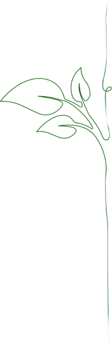 d&eacute;veloppement durable